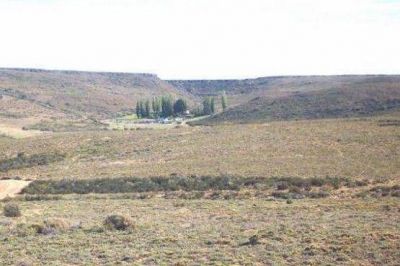 Inmobiliarias rurales consideran que la Ley de Tierras es un avance