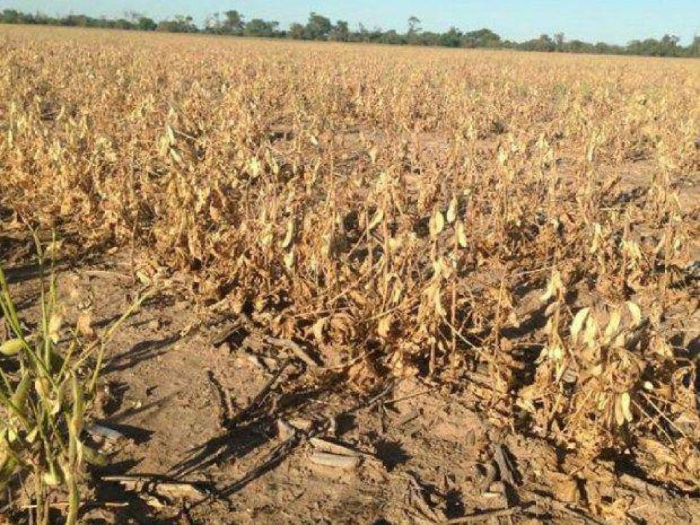 Salta en el centro de la escena: el campo anunciar�a medidas de fuerza