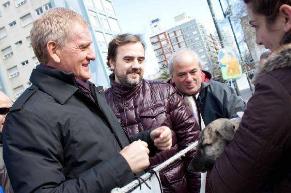 De Narvaez no se baja y estar� en Mar del Plata