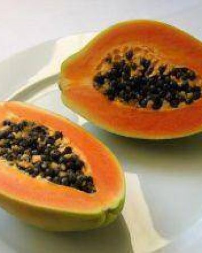 Plantas medicinales: dictan talleres