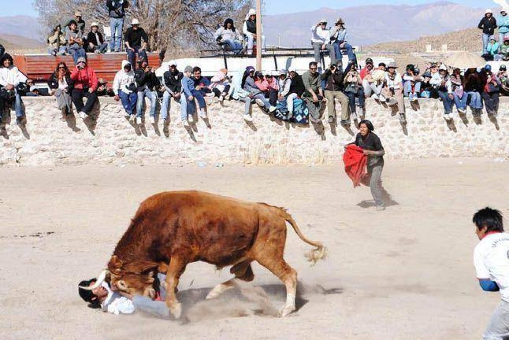 Ma�ana, la �nica fiesta taurina de sudam�rica