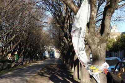 Ahora, la limpieza