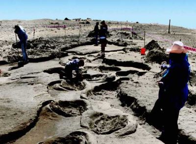 Buscan nombrar Patrimonio de la Humanidad a las huellas de Pehuen C�