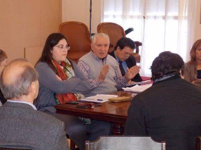 Baraybar pide "cordura" a los vernistas