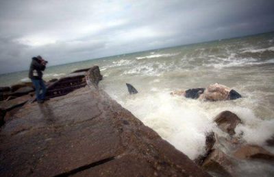 Buscan declarar de inter�s la preservaci�n de la ballena franca en el litoral bonaerense