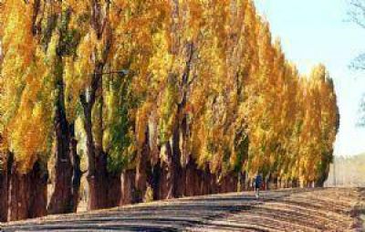 Salen a la venta 900 ha de terrenos fiscales en Uspallata