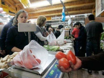 El zapallito se suma a la lista de los vegetales que no se consiguen