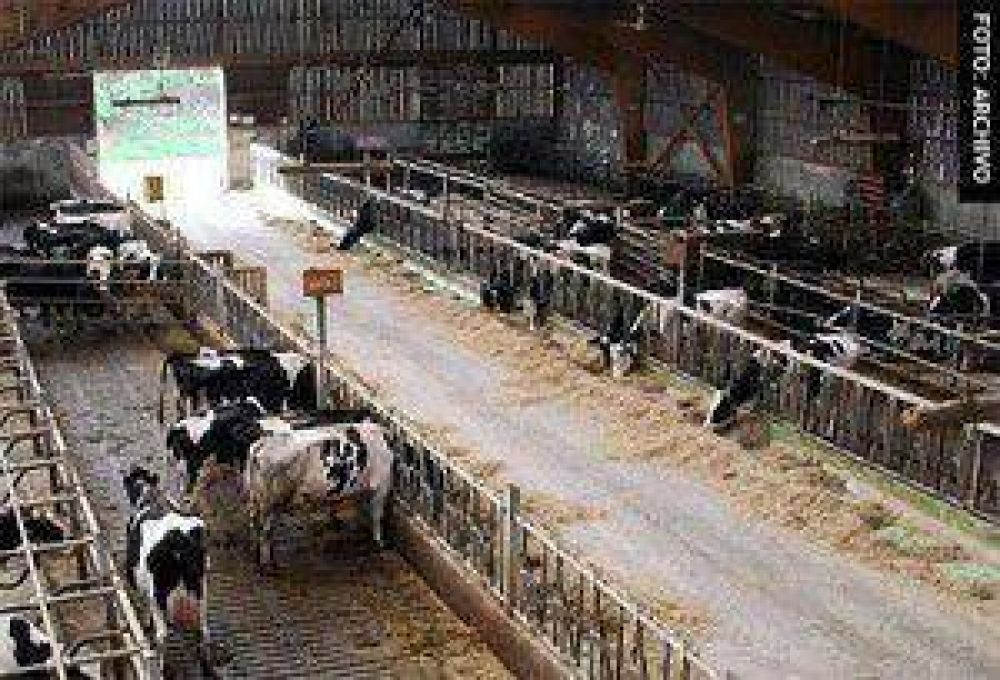 Argentina: El tama�o importa: el megatambo de Adecoagro vender leche a un precio de 0,45 u$s/litro 