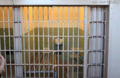 La justicia ratific� condena a 20 a�os por abuso