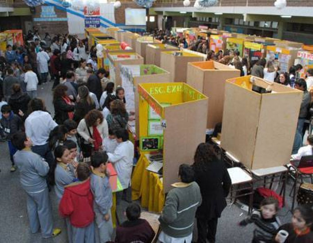 Los chicos de primaria mostraron sus investigaciones cient�ficas