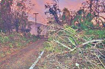 Mucho viento y varios destrozos en Neuqu�n