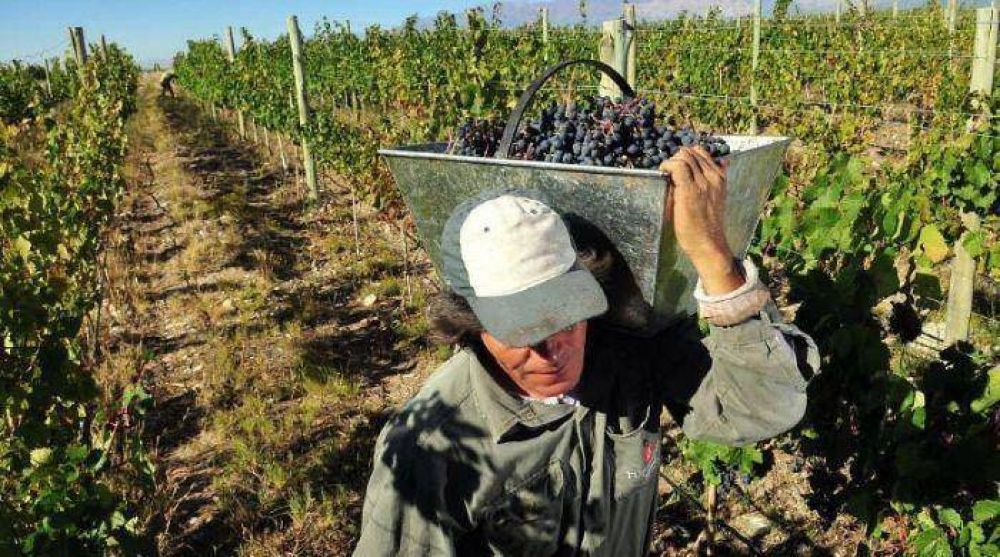 Bodegueros del Este eval�an achicarse y suspender empleados