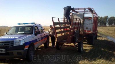 Contin�an las labores para la prevenci�n de delitos rurales en la regi�n