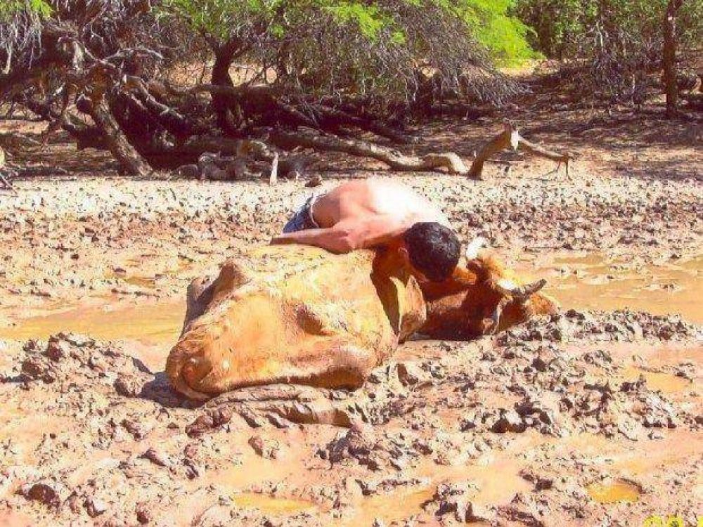 Se mueren los animales y no hay agua ni para la gente