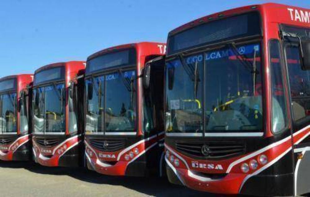 Tamse tendr� 200 colectivos nuevos en septiembre
