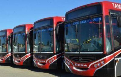 Tamse tendr� 200 colectivos nuevos en septiembre
