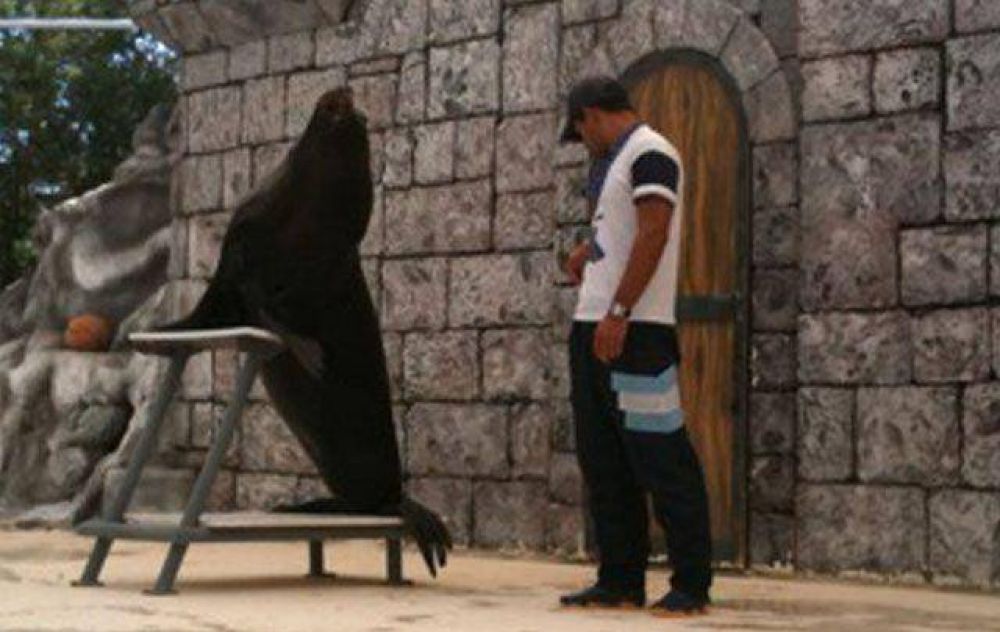 Clausuran Zoo de C�rdoba por falta de medidas de seguridad