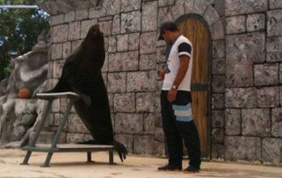 Clausuran Zoo de C�rdoba por falta de medidas de seguridad