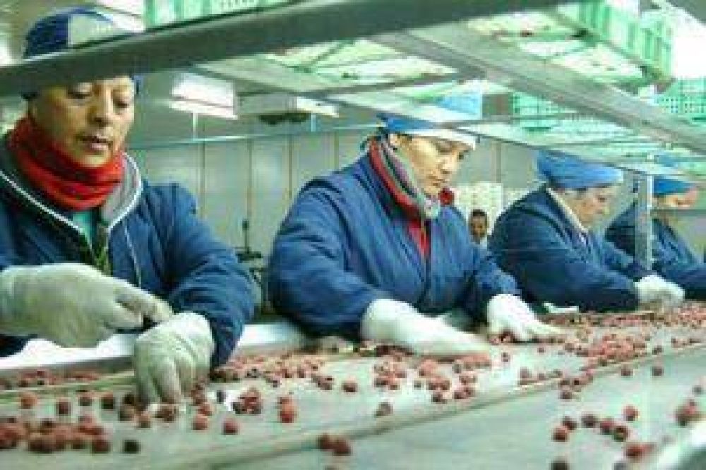 La econom�a se expandi� 6,4%