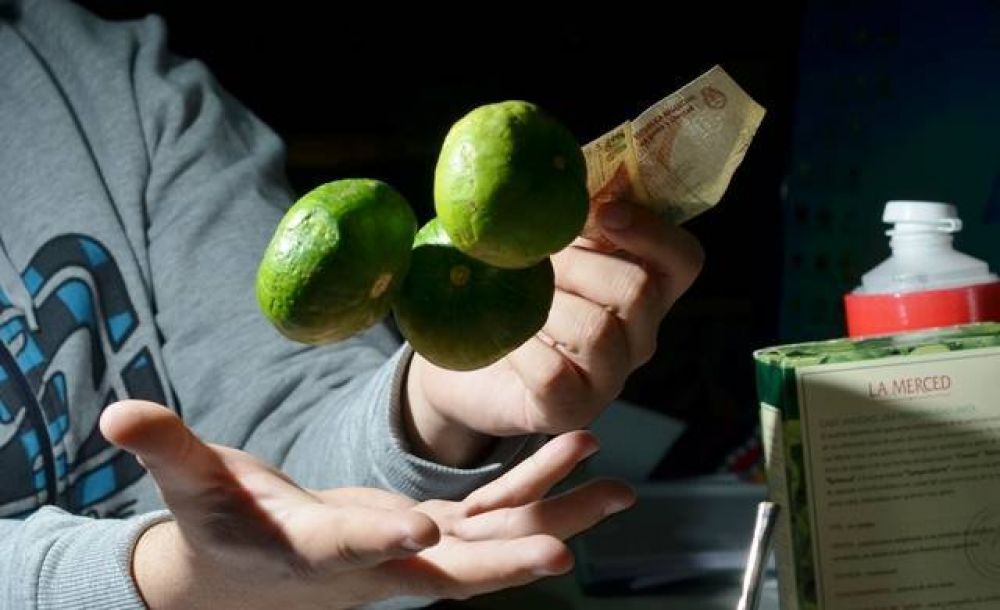 Por las nubes: el kilo de zapallito verde aument� un 170 por ciento