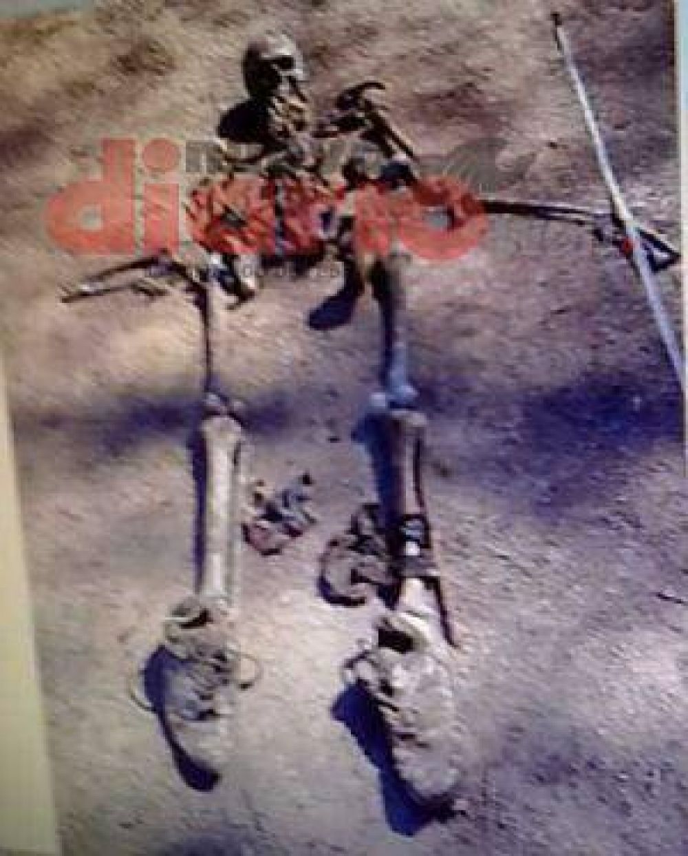 Macabro: Poblador hall� restos �seos