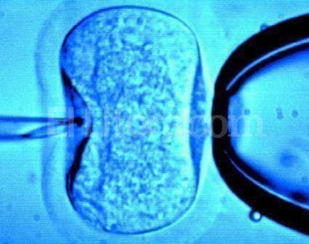 Fertilizaci�n asistida: autorizaron a tres centros m�dicos de Rosario
