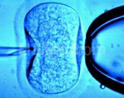 Fertilizaci�n asistida: autorizaron a tres centros m�dicos de Rosario
