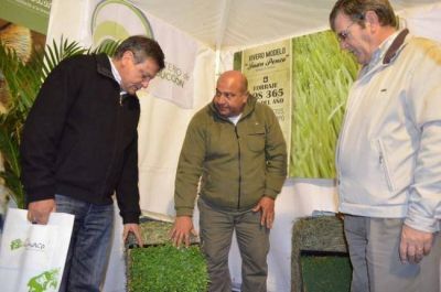 Innovaci�n tecnol�gica en la Muestra de Producciones Alternativas y Sustentable del Sudoeste Chaque�o