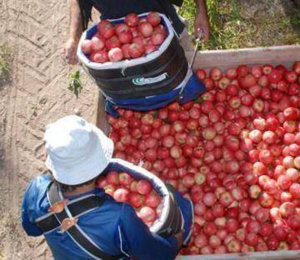 Intentan bajar el empleo no registrado en el sector rural