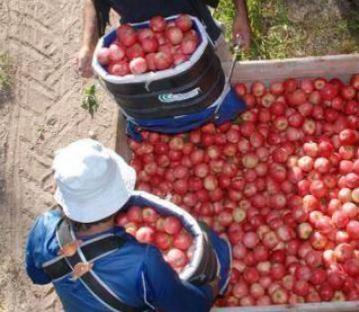 Intentan bajar el empleo no registrado en el sector rural