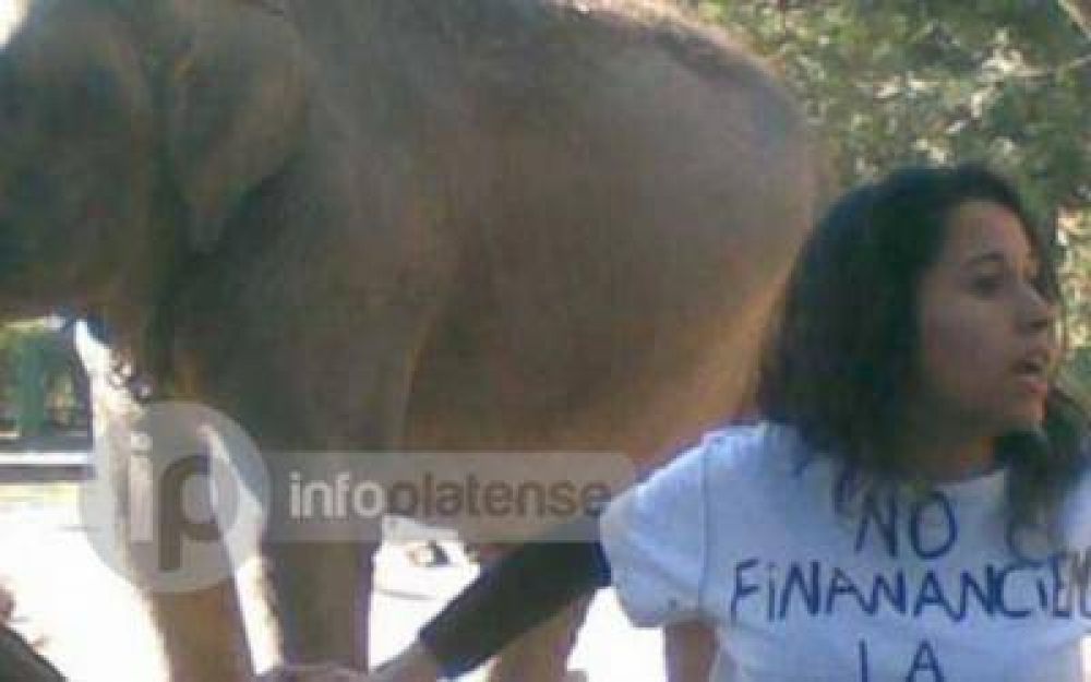 La Plata: Denuncia p�simo estado del Zoo y exigen que cierre
