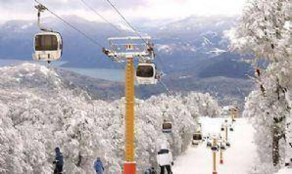 La ca�da de un pino dej� sin luz al Chapelco