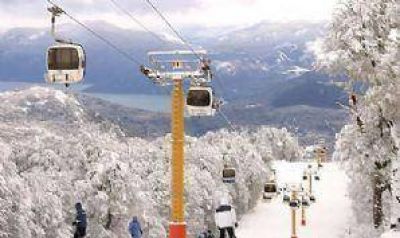 La ca�da de un pino dej� sin luz al Chapelco