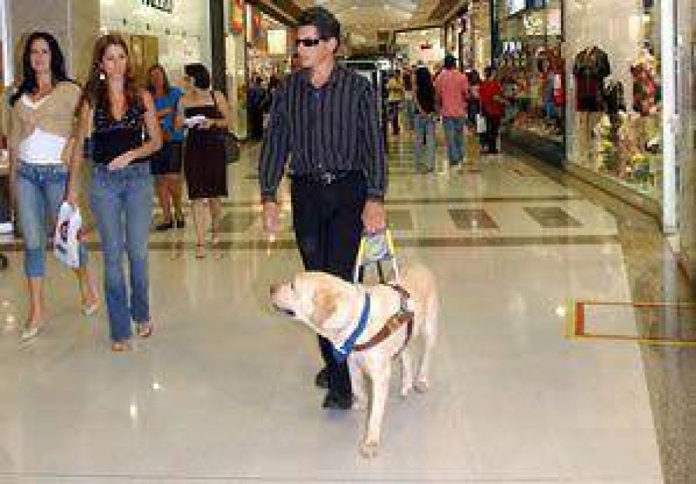 San Juan se adhiere a la Ley Nacional de perros gu�a