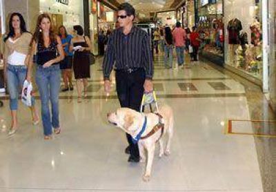 San Juan se adhiere a la Ley Nacional de perros gu�a