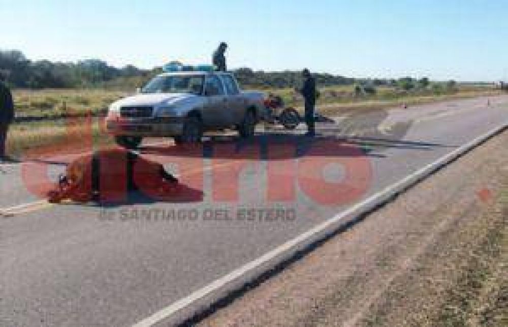 Secuestraron cerca de 500 animales
