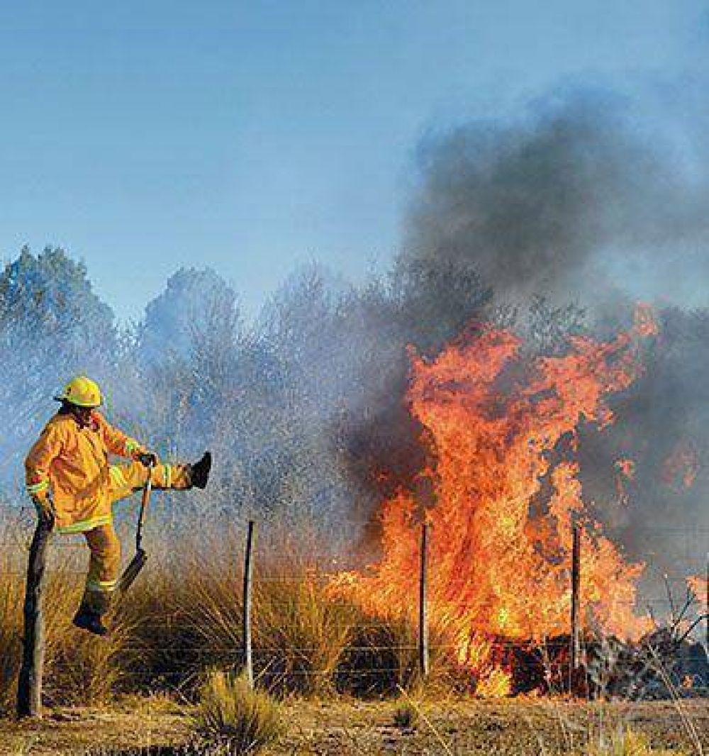 Cinco incendios de pastizales en pocas horas