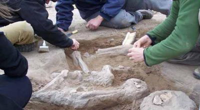 Estudian si los restos son de habitantes originarios