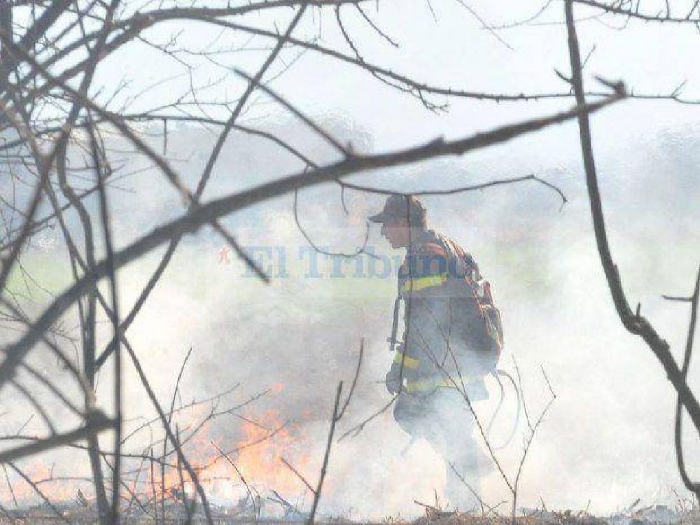 Cuatro incendios en una tarde