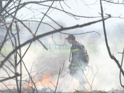 Cuatro incendios en una tarde