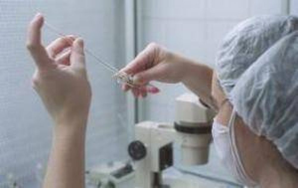 Fallo orden� a una obra social a cubrir tratamiento de fertilizaci�n asistida