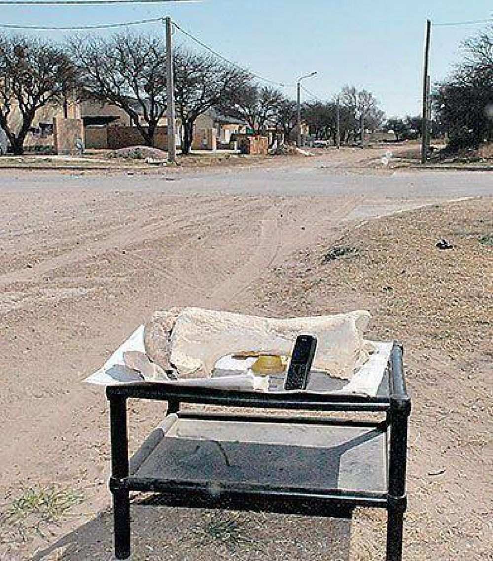 Encuentran f�siles de un megaterio