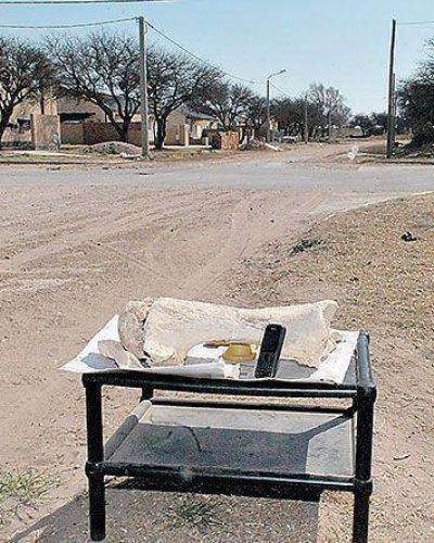 Encuentran f�siles de un megaterio