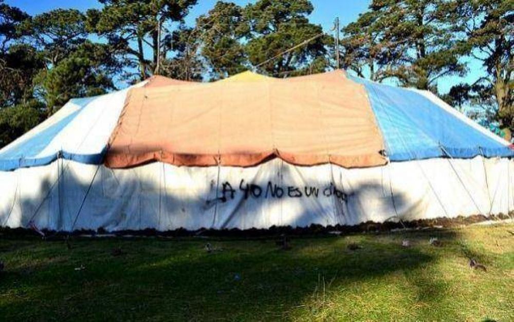 "Levanten la carpa"