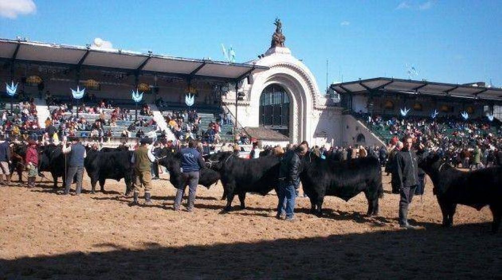La Corte Suprema fren� la estatizaci�n del predio de La Rural