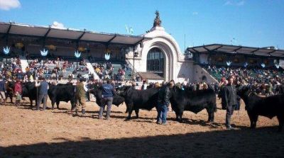 La Corte Suprema fren� la estatizaci�n del predio de La Rural