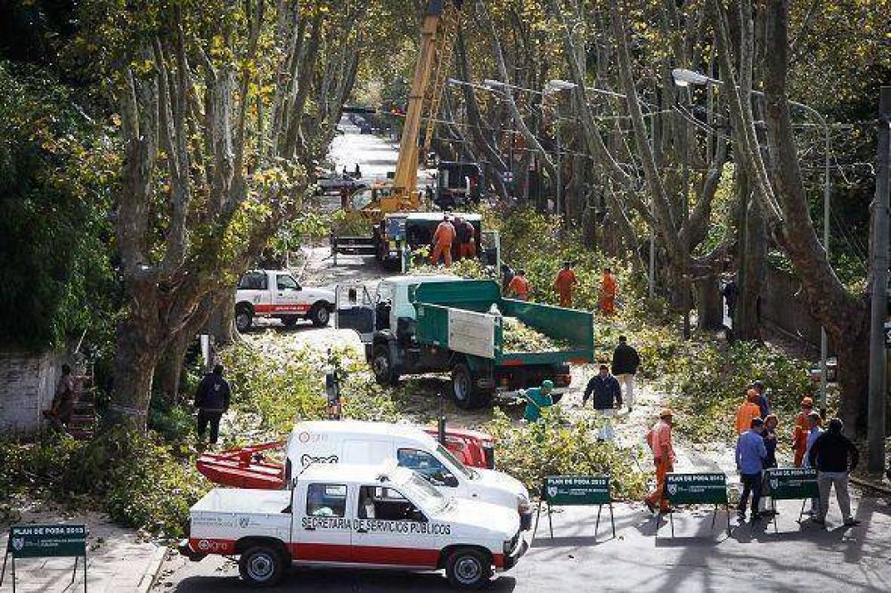 El Municipio de Tigre contin�a con el Plan de Poda y Forestaci�n 2013