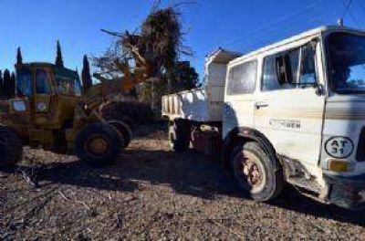 Por suciedad y abandono, infraccionaron a propietarios de terrenos con 40 mil pesos
