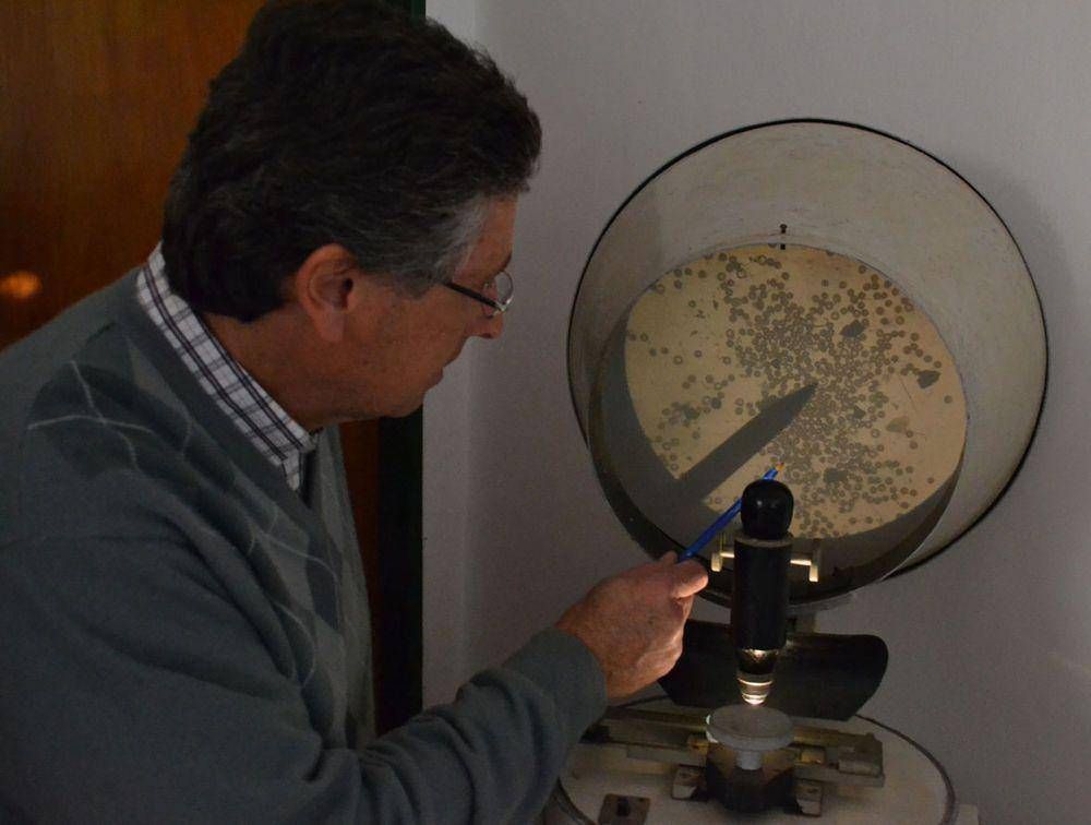 Se detect� triquinosis en muestras de carne de jabal� para la realizaci�n de chacinados