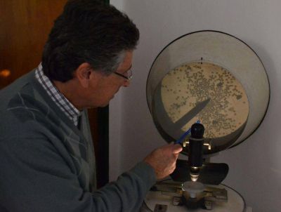 Se detect� triquinosis en muestras de carne de jabal� para la realizaci�n de chacinados